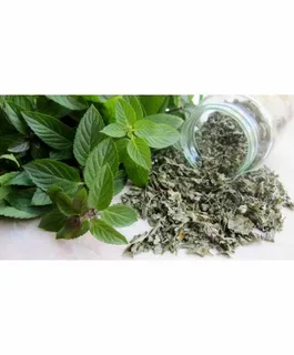 تصویر 4 از نعنا خشک گلستان با فرآوری بهداشتی و بوی ماندگار